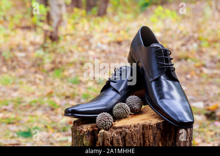 Wedding details. Groom accessories. Shoes, rings belt and bowtie Stock Photo