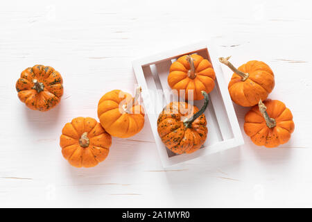 Small decorative pumpkins on white wooden background. Autumn, fall, thanksgiving or halloween day concept, flat lay, top view, copy space Stock Photo