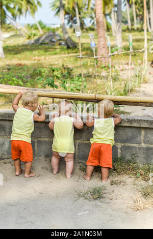 Three baby Toddler looking through fence on the hens and roosters in the henhouse. The yellow shirts. Stock Photo