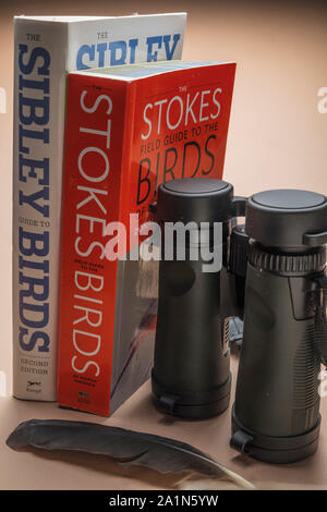 Essential bird birder watching equipment and gear for bird watching. Pair of binoculars and bird species identification field guide books and feather Stock Photo
