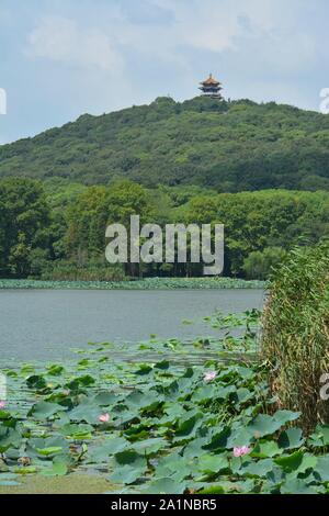 Exploring and admiring Lihu in Wuxi, China Stock Photo