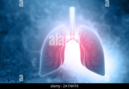 Human lungs with medical background. 3d illustration Stock Photo