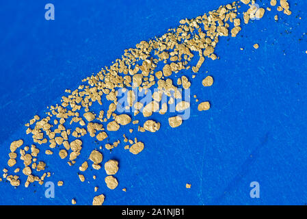 Gold Panning. Gold flakes found in river in a blue pan for gold Stock Photo