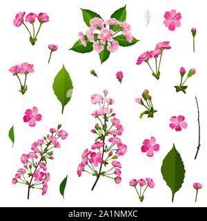 Set of pink cherry tree flowers Stock Vector