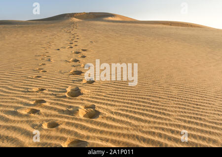 Sand dunes in Thar desert. Jaisalmer. Rajasthan India Stock Photo