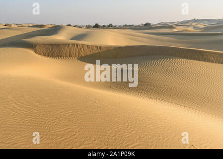Sand dunes in Thar desert. Jaisalmer. Rajasthan India Stock Photo
