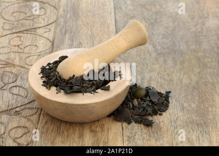 Bladderwrack herb in  mortar with pestle used in natural herbal medicine. Stock Photo