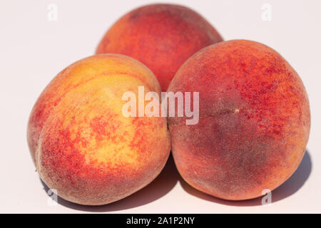 Three juicy peaches on a white background in sunlight Stock Photo