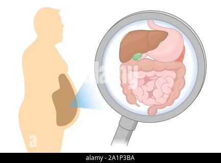 Zoom into internal organ about digestion of Fat man with Magnifying glass. Stock Vector