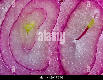 Macro close up detail of cut onion porous surface, vegetable juicy background. Stock Photo