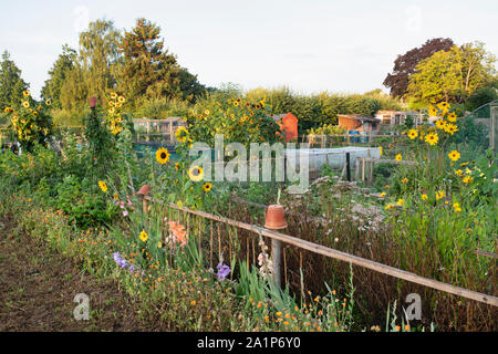 Allotments in the cotswold village of Bourton on the water, Cotswolds, Gloucestershire, England Stock Photo