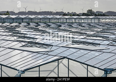 's-Gravenzande, The Netherlands, September 28, 2019: industrial landscape in the Westland horticulture region, with vast areas of greenhouses and a sk Stock Photo