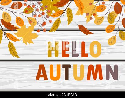 Hello autumn vector banner with hand drawn leaves and lettering on wooden background Stock Vector