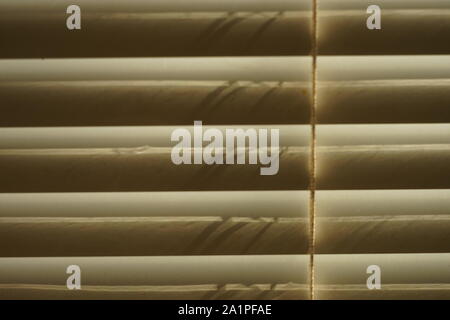 closed horizontal blinds through which the sun shines Stock Photo