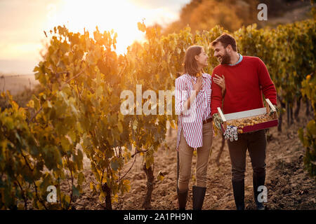 Autumn vineyards. Wine and grapes. Smiling man and woman in the vineyard during sunrise. Stock Photo