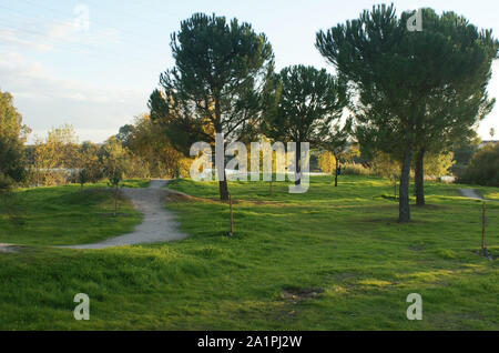 Park with path to the river on an autumn sunset Stock Photo