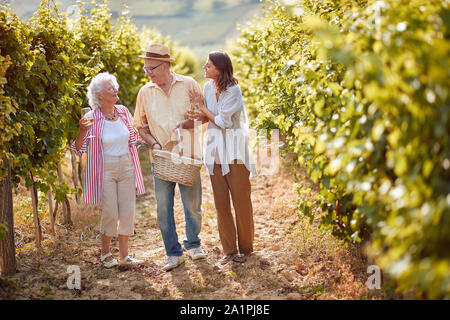 Ripe grapes in vineyard. family vineyard. Happy winemaker family together in vineyard Stock Photo