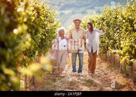 Ripe grapes in vineyard. family vineyard. Smiling family walking in between rows of vines together Stock Photo