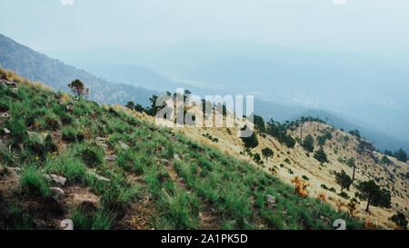 Green and yellow layers at the Ajusco Mountain, Mexico Stock Photo - Alamy