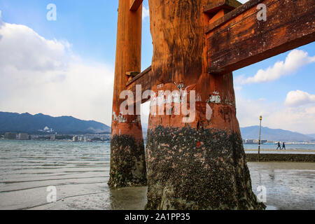 Powerful pillars famous Floating Torii gate (O-Torii) on Miyajima island, Japan. Stock Photo