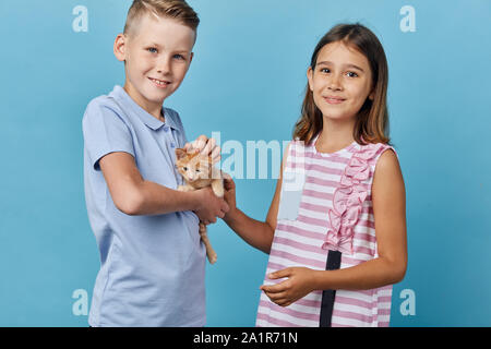 pleasant children love their kitten, posing to the camera with it.close up photo. isolated blue background, happy childhood Stock Photo