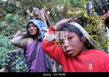 Wood collector of the Khasi ethnic group carrying firewood to their village in the Khasi Hills, Meghalaya State, India Stock Photo