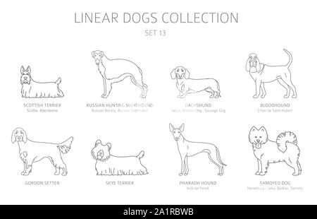 Simple line dogs collection isolated on white. Dog breeds. Flat style clipart set. Vector illustration Stock Vector