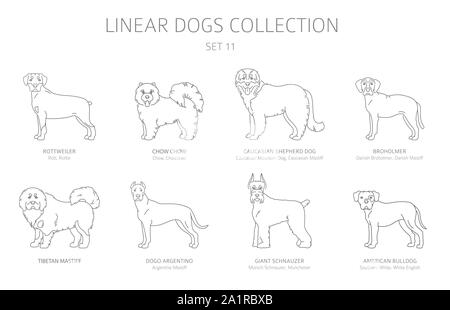 Simple line dogs collection isolated on white. Dog breeds. Flat style clipart set. Vector illustration Stock Vector