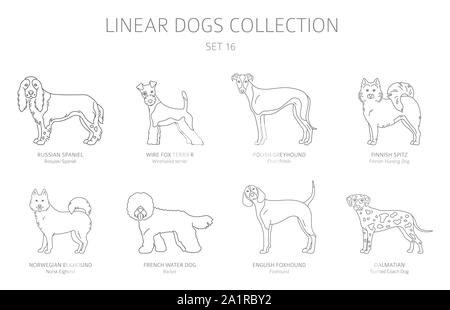Simple line dogs collection isolated on white. Dog breeds. Flat style clipart set. Vector illustration Stock Vector