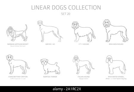 Simple line dogs collection isolated on white. Dog breeds. Flat style clipart set. Vector illustration Stock Vector