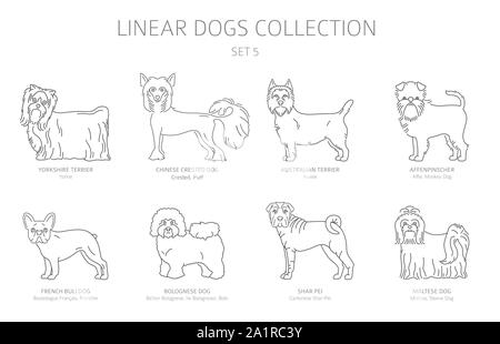 Simple line dogs collection isolated on white. Dog breeds. Flat style clipart set. Vector illustration Stock Vector