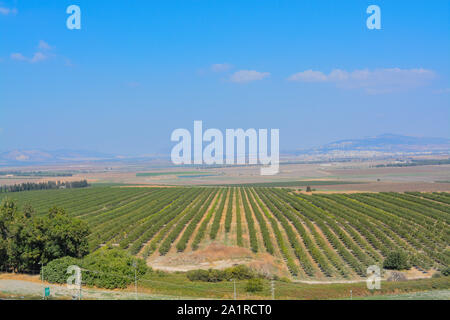 The view over Jezreel Valley at Tel Megiddo. Known as The Valley of Armageddon Stock Photo