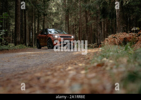 Minsk, Belarus - September 24, 2019: Land Rover Discovery Sport on icountry road n autumn forest landscape. Stock Photo