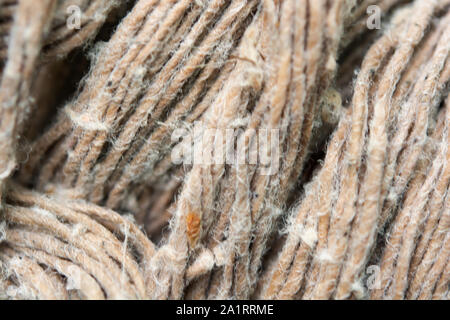 Macro of old fabric fibers background Stock Photo