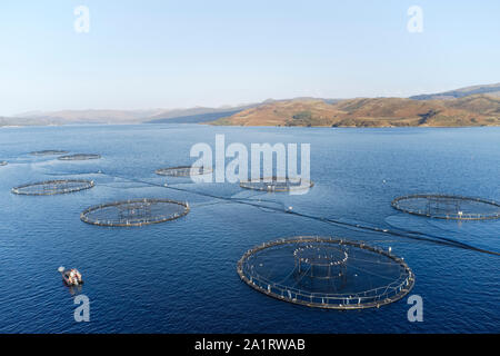 Fish farm salmon sea nets farming at sea loch Argyll Scotland UK Stock Photo