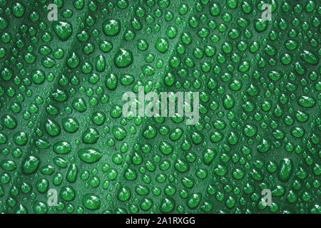 Water drops on banana leaf background Stock Photo