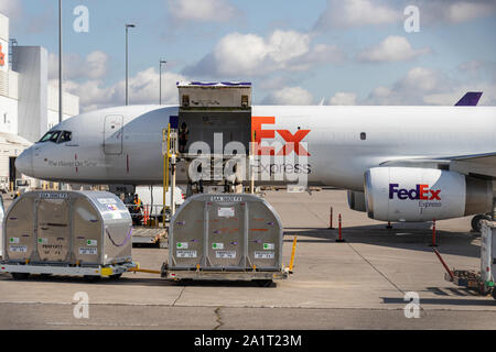 Front of FedEx Express Boeing 757-2F cargo plane being loaded at Toronto Pearson Intl. Airport. Stock Photo