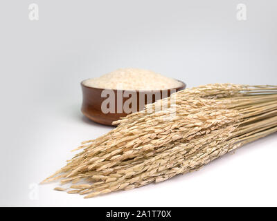 rice seed ,Placed on a white background Stock Photo