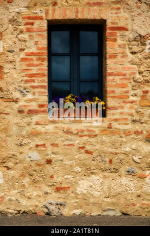 Flowers on an old brick window sill Stock Photo