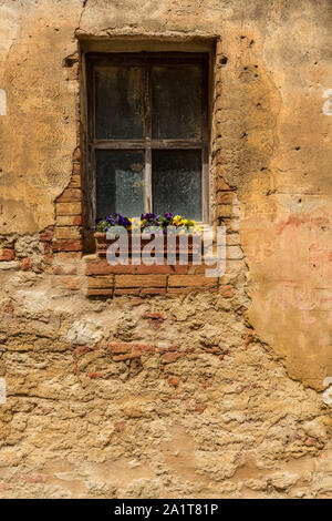 Flowers on an old brick window sill Stock Photo