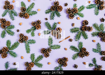 Christmas composition. Tree branches, pine, acorn and cinnamon on pastel violet background. Christmas, winter, new year concept. Flat lay, top view, c Stock Photo