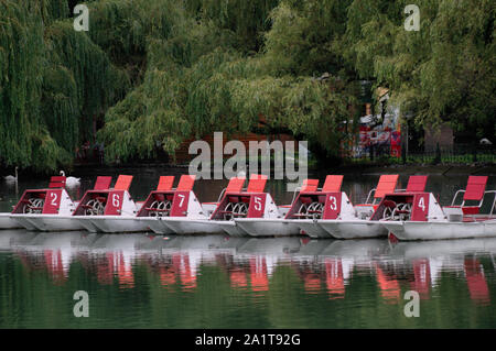Line of catamarans with white nimbers on red part of the bodies on the water of an old park pond surrounded by green trees Stock Photo