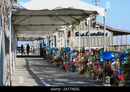 Santa Barbara, California, USA. 28th Sep, 2019. Memorial for dive boat victims lost at sea continues to go strong at Sea Landing boat dock, in the Santa Barbara Harbor, where the Conception was harbored prior to the Labor Day accident that killed 34 people on a three day vacation to the Channel Islands. A cruise ship company recently put up an awning and fence, and tourists are curious and reverent as they walk by the memorial. Photos of those who lost their lives are surrounded by flowers, many now dried, but with fresh oneÃs still being brought daily. Every night candles are being lit b Stock Photo