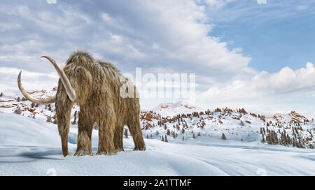 Woolly mammoth set in a winter scene environment. 16/9 Panoramic format. Realistic 3d illustration. Stock Photo