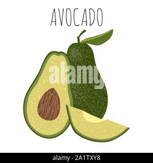 Isolated vector illustration with Avocado - half, slice and whole on white background. Cartoon hand draw flat element Stock Vector