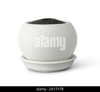 flowerpot with soil isolated on white, clipping pass Stock Photo