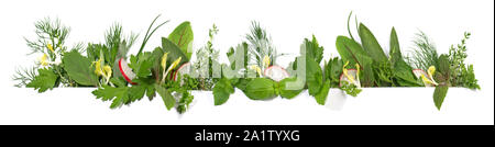 Fresh Herbs with Radish and Sprouts - Panorama on white Background Stock Photo