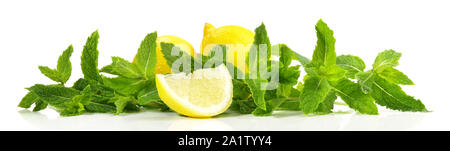 Lemon and Mint Panorama on white Background Stock Photo