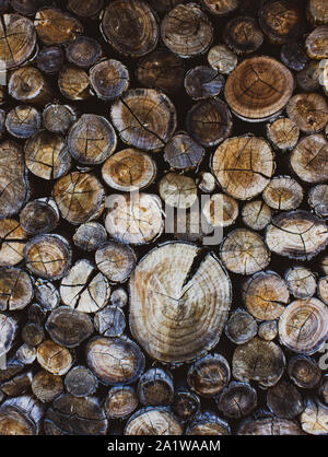 stacked logs Stock Photo