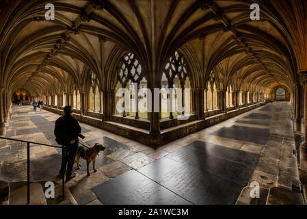 Wide  angle view of a man and dog standing at the intersection between two cloisters at Norwich Cathedral Stock Photo